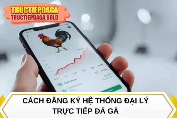 Cách đăng ký hệ thống đại lý Trực Tiếp Đá Gà