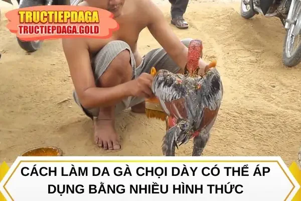Cách làm da gà chọi dày có thể áp dụng bằng nhiều hình thức