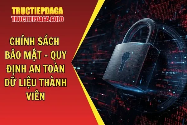 Chính Sách Bảo Mật Trực Tiếp Đá Gà Đảm Bảo An Toàn Dữ Liệu